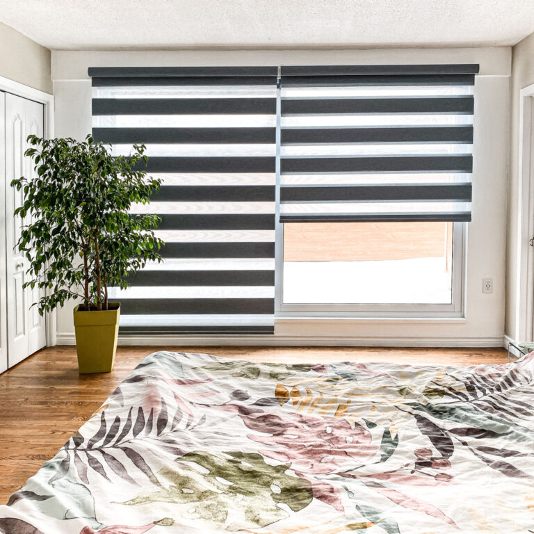 lulu blinds - zebra style
